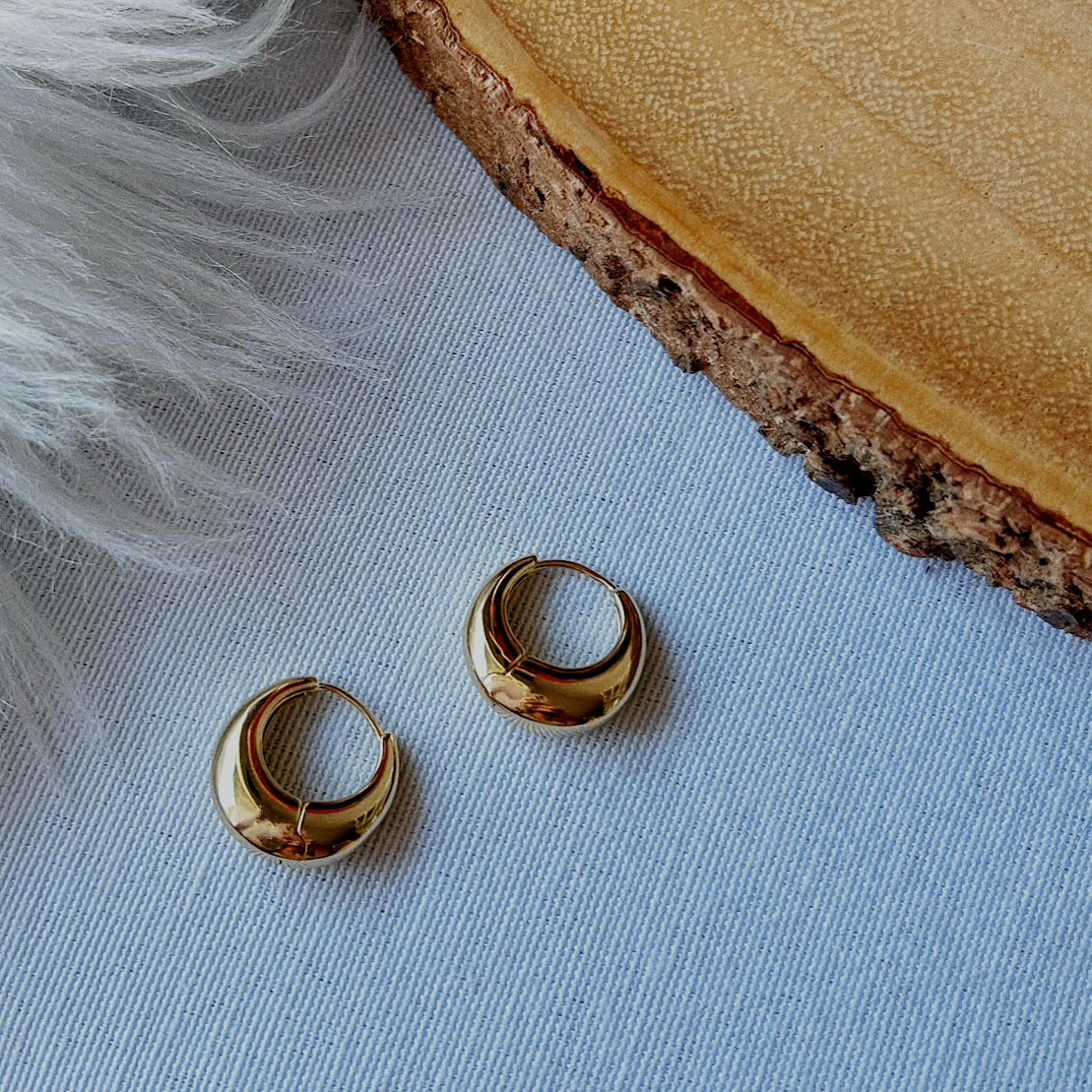 Trisha Hoops