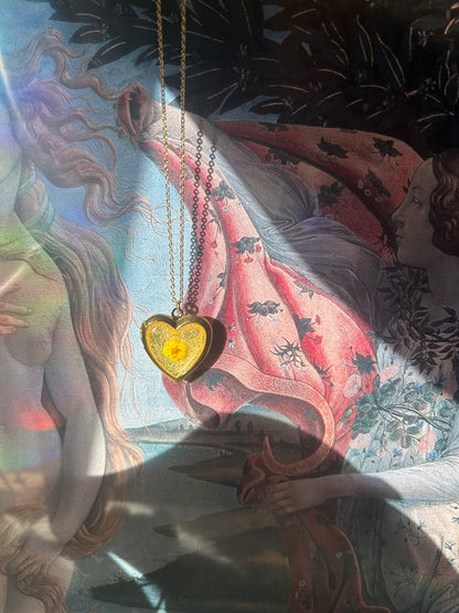 Sweet Daisy Locket