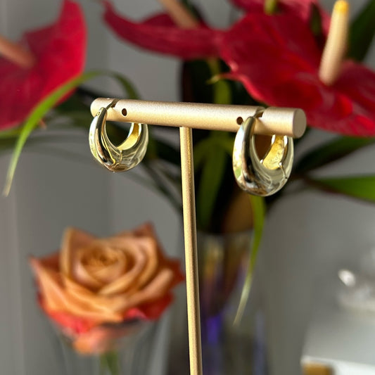 Trisha Hoops
