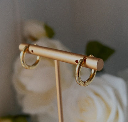 Ariana Hoops