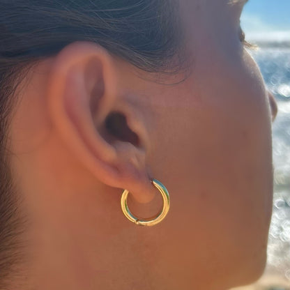 Ariana Hoops